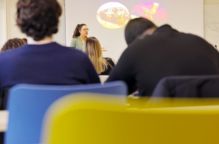 Licence Professorat des écoles