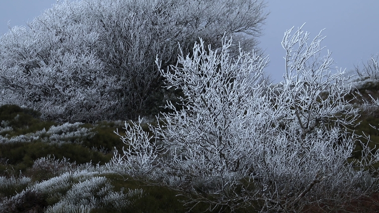 station lacaune, enfance gelée